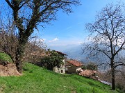 Festa di fiori sui sentieri per il Monte Ubione-19mar24